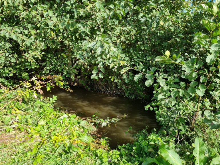 Etude de la qualité de l’eau d’un ruisseau en amont de la rivière Aisne