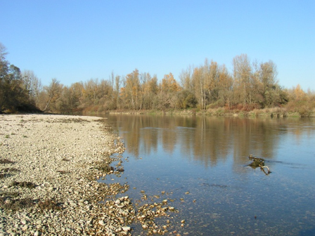 How to identify and monitor the response of forests near riverbanks to drought: use of aerial thermal imagery and on-field measurements